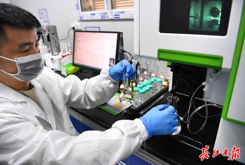 武漢中小企業借腦高校，以專精特新勁頭角逐信息技術賽道